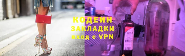 ECSTASY Бородино