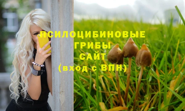 ALPHA-PVP Верхний Тагил